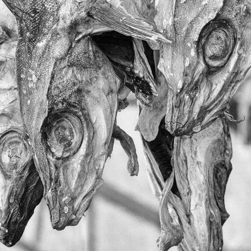 Det lukter fisk - liten